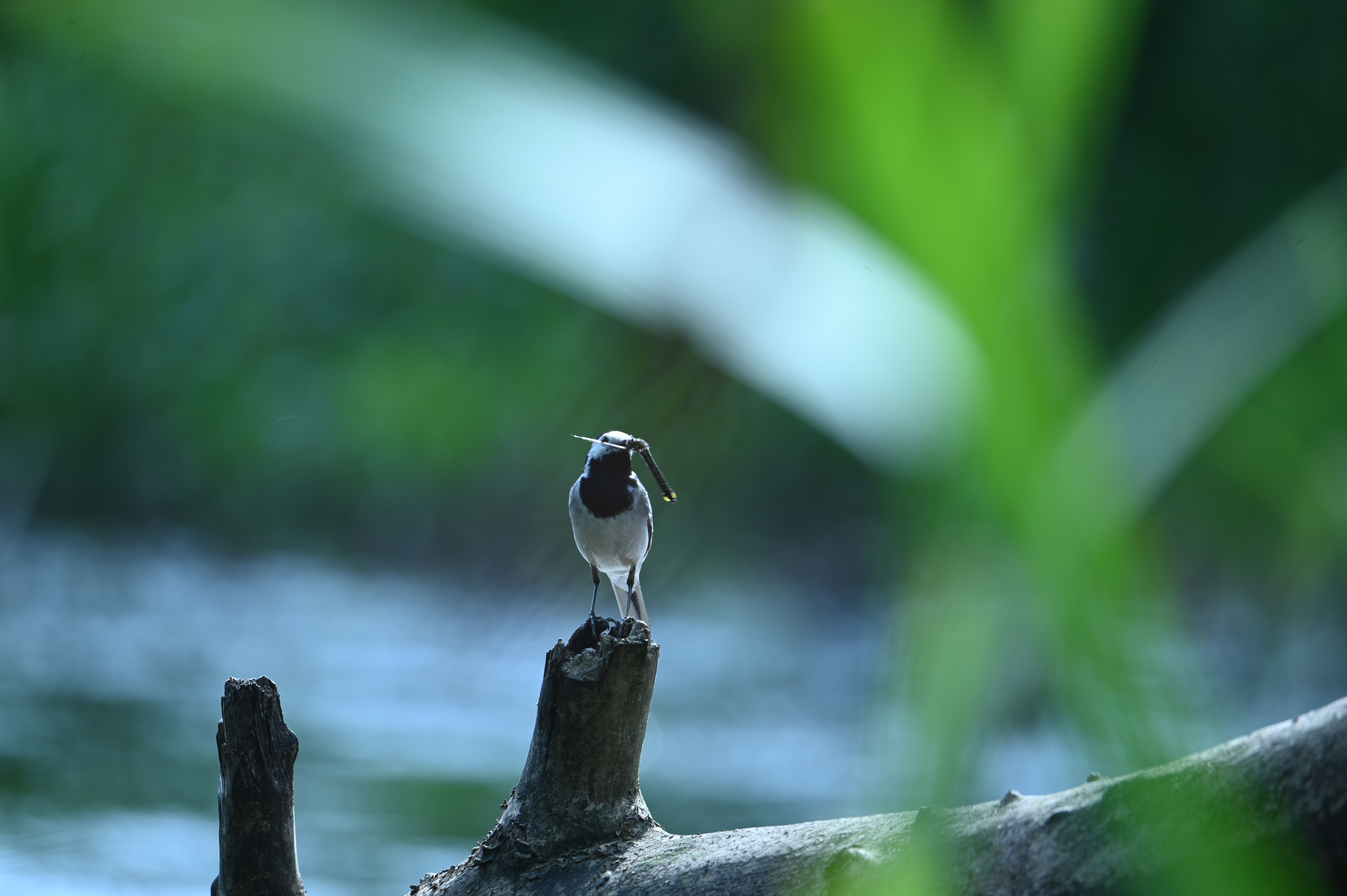 2025/07/09-14 - trip/DSC_0478.JPG